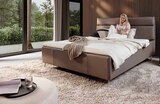 Polsterbett im Möbel Inhofer Prospekt Polsterbett von Cape Town im aktuellen Möbel Inhofer Prospekt für 1.690,12 €