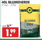 BLUMENERDE im Angebot bei Wreesmann in Brandenburg BLUMENERDE Angebote bei Wreesmann Brandenburg für 1,99 €