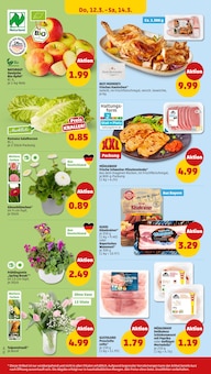 Blumen im Penny Prospekt "Wer günstig will, muss Penny." mit 42 Seiten (Augsburg)