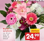Blumensymphonie von  im aktuellen Netto Marken-Discount Prospekt für 24,99 €