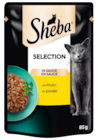 Katzennahrung Angebote von Sheba bei REWE Köln für 0,49 €