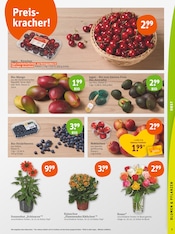 Aktueller tegut Prospekt mit Blumen, "tegut… gute Lebensmittel", Seite 5