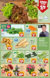 Ähnliche Gartenliege Angebote im Prospekt "Dein Markt" von REWE in Nürnberg Ähnliche Angebote wie Gartenliege im Prospekt "Dein Markt" auf Seite 7 von REWE in Nürnberg