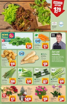 Gartenmöbel im REWE Prospekt "Dein Markt" mit 34 Seiten (Fürth)