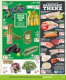 Zucchini im Marktkauf Prospekt "Aktuelle Angebote" mit 22 Seiten (Köln)