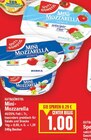 Mini-Mozzarella Angebote von GUT&GÜNSTIG bei E center Berlin für 1,00 €