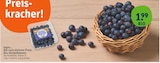 Bio-Heidelbeeren von  im aktuellen tegut Prospekt für 1,99 €