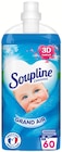 Soupline concentré Grand Air en promo chez Colruyt Besançon