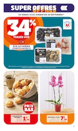 Orchidée Angebote im Prospekt "bi1 supermarché Maxi MARCHÉ" von Bi1 auf Seite 9