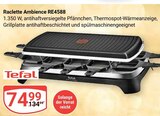 Raclette Ambience RE4588 im Angebot bei GLOBUS in Gera Raclette Ambience RE4588 Angebote von Tefal bei GLOBUS Gera für 74,99 €