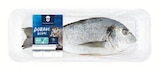 ASC Dorade Royal von Fischerstolz im aktuellen Lidl Prospekt für 5,50 €