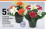 Pot de chrysanthèmes et lys à Bazarland dans Miramas