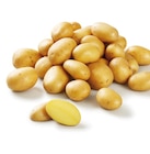 Promo Pomme de terre nouvelle récolte à 1,90 € dans le catalogue Lidl à Capestang