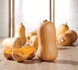 Courge butternut - Super U à Noisy-le-Grand Courge butternut en promo chez Super U Noisy-le-Grand à 1,69 €