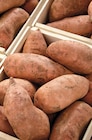 Patate douce en promo chez Netto Patate douce dans le catalogue Netto