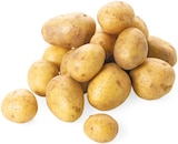 Bio Speisekartoffeln Drillinge im Angebot bei REWE in Emden Bio Speisekartoffeln Drillinge Angebote von REWE Bio bei REWE Emden für 1,69 €