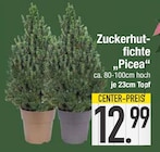 Zuckerhutfichte 'Picea' Angebote bei EDEKA Augsburg für 12,99 €