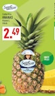 Costa Rica Ananas Angebote von SanLucar bei Marktkauf Hagen für 2,49 €