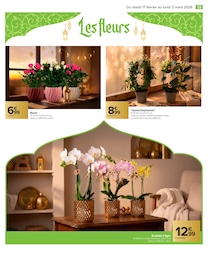 Prix et réduction Orchidée dans le prospectus Carrefour en cours Offre Orchidée dans le catalogue Carrefour du moment à la page 33