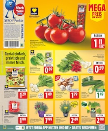 Tomaten im EDEKA Prospekt "Aktuelle Angebote" mit 25 Seiten (Berlin)