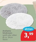 Andiamo Sitzkissen im budni Prospekt Andiamo Sitzkissen von im aktuellen budni Prospekt für 3,99 €