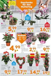 Blumen Angebot & Preis im aktuellen Globus-Baumarkt Prospekt Blumen Angebot im aktuellen Globus-Baumarkt Prospekt auf Seite 4