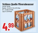 Schloss Quelle im Angebot bei Trinkgut in Bielefeld Schloss Quelle Angebote bei Trinkgut Bielefeld für 4,99 €