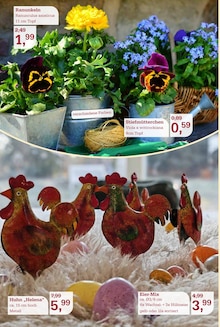 Eier im Garten-Center Nordharz GmbH & Co. KG Prospekt "Farben Düfte Frühlingsfreude" mit 16 Seiten (Hildesheim)