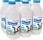 Lait uht demi écrémé bouteille - PÂTURAGES - Intermarché Super à Brest Lait uht demi écrémé bouteille - PÂTURAGES en promo chez Intermarché Super Brest à 4,45 €