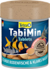 Pleco Tablets im Angebot bei Zookauf in Dinslaken Pleco Tablets Angebote von Tetra bei Zookauf Dinslaken für 4,99 €