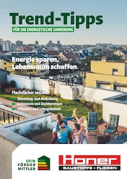 Honer Baustoffe Prospekt für Tuningen mit 11 Seiten Honer Baustoffe Prospekt für Tuningen: "Trend-Tipps FÜR DIE ENERGETISCHE SANIERUNG", 11 Seiten, 18.07.2025 - 27.07.2025