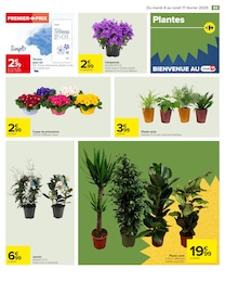 Offre Campanule dans le catalogue Carrefour du moment à la page 67