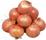 Bio Gemüsezwiebeln bei EDEKA im Lotte Prospekt für 1,29 €