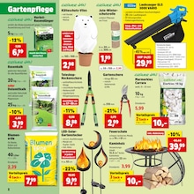 Gartendeko Angebot im aktuellen Thomas Philipps Prospekt auf Seite 2