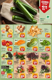 Kürbis im REWE Prospekt in Leinfelden-Echterdingen Aktueller REWE Prospekt mit Kürbis, "Dein Markt", Seite 7