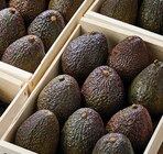 Avocat affiné à 1,50 € dans le catalogue Netto