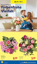 Blumen im Lidl Prospekt in Stade Aktueller Lidl Prospekt mit Blumen, "LIDL LOHNT SICH", Seite 26
