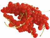 Aktuelle Äpfel Angebote bei EDEKA in Münster Aktuelles Johannisbeeren rot Angebot bei EDEKA in Münster ab 2,99 €