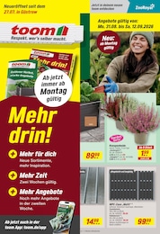 toom Baumarkt Prospekt mit 26 Seiten (Mistorf)