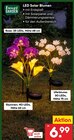 LED Solar Blumen Rose Angebote von Living & Garden bei Netto Marken-Discount Potsdam für 6,99 €