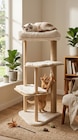 Arbre à chat - B&M Arbre à chat à 29,99 € dans le catalogue B&M