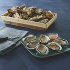 Huitres fines de bretagne ou huitres speciales de l'etang de thau - U en promo chez U Express Villenave-d'Ornon à 12,95 €
