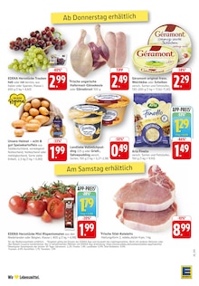 Tomaten im aktuellen E center Prospekt (Freiburg (Breisgau)) Tomaten im E center Prospekt "Aktuelle Angebote" mit 49 Seiten (Freiburg (Breisgau))