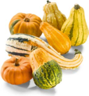 Zierkürbisse im Angebot bei Netto Marken-Discount in Iserlohn Zierkürbisse Angebote bei Netto Marken-Discount Iserlohn für 3,99 €