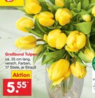 Großbund Tulpen Angebote bei Netto Marken-Discount Zwickau für 5,55 €