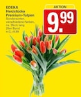 Herzstücke Premium-Tulpen Angebote von EDEKA bei WEZ Bad Oeynhausen für 9,99 €