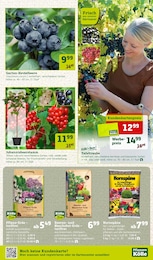 Blumenerde Angebot im aktuellen Pflanzen Kölle Prospekt auf Seite 3