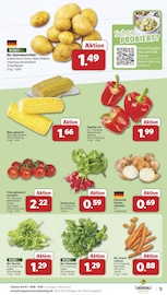 Paprika im famila Nordwest Prospekt in Lingen Aktueller famila Nordwest Prospekt mit Paprika, "Markt - Angebote", Seite 5