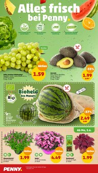 Fleisch Angebot im Penny-Markt Prospekt, gültig von 05.06.2023 bis 11.06.2023 Fleisch Angebot im aktuellen Penny-Markt Prospekt auf Seite 2
