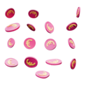 Aktuelle Warsteiner Angebote bei REWE in Erkelenz Aktuelles Pils Angebot bei REWE in Erkelenz ab 10,99 €